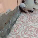 ترميم وتشطيب في الخبر | تشطيبات داخلية وخارجية للمنازل